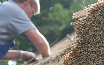 professional Blacko thatchers